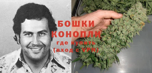 сатива Осташков