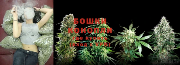 сатива Осташков