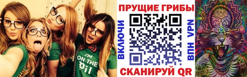 купить закладку  Россошь  Псилоцибиновые грибы прущие грибы 