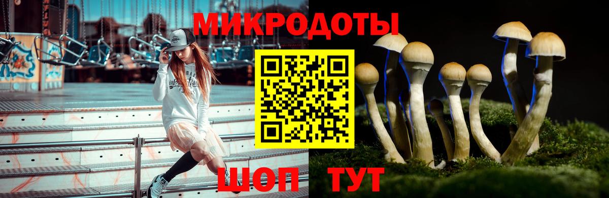 Галлюциногенные грибы Psilocybe  Вход с VPN  как найти   Россошь 